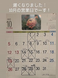 クラフトビール 2by